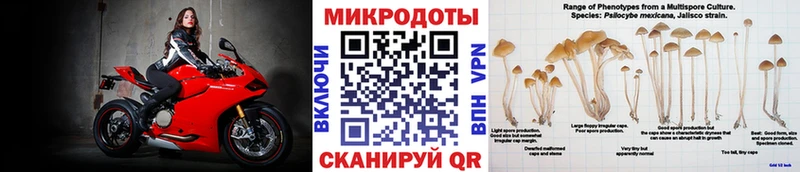 Галлюциногенные грибы прущие грибы  Артёмовск 